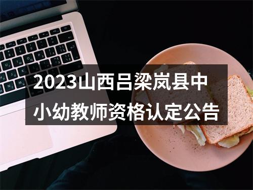 2023山西吕梁岚县中小幼教师资格认定公告 图片