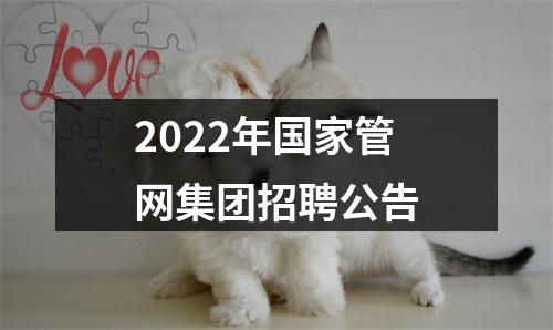 2022年国家管网集团招聘公告 图片